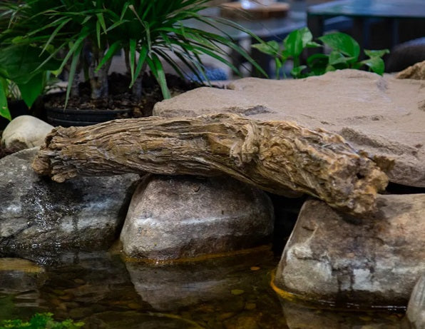 Decorative Accessories for Water Features