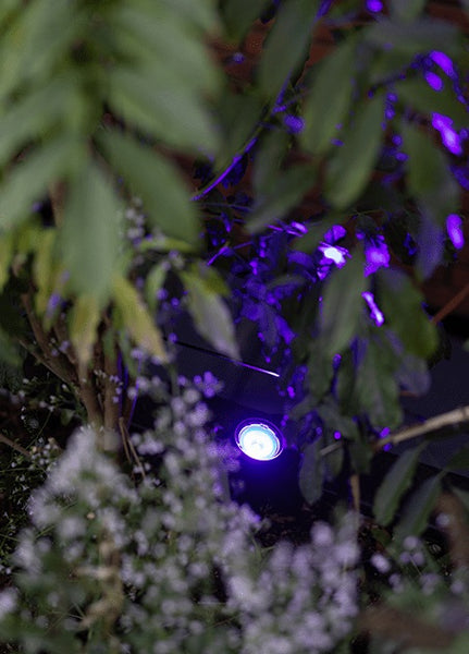 In-Lite SMART SCOPE TONE