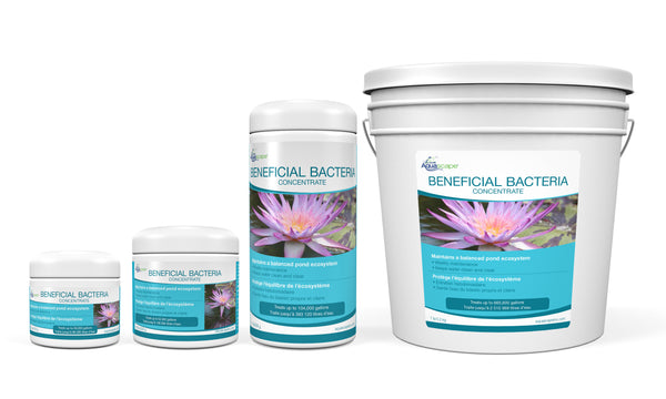 Beneficial Bacteria Concentrate
