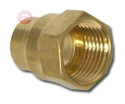 Brass Coupler - 3/4" FHT x FIPT